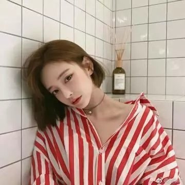 风月君子