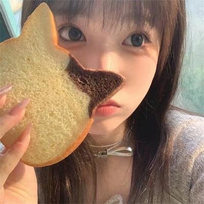 精灵守护者第二部